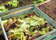 Composting and Climate Change