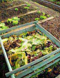 Climate Change Composting Combat Climate
